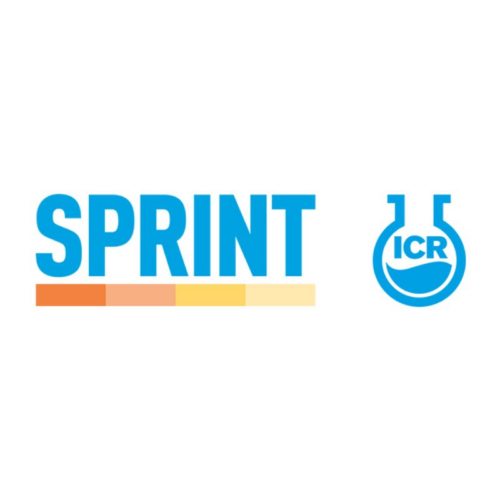 Sprint - ICR Ibérica